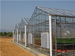 Glass greenhouse