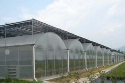 Polycarbonate Panel GREENHOUSE